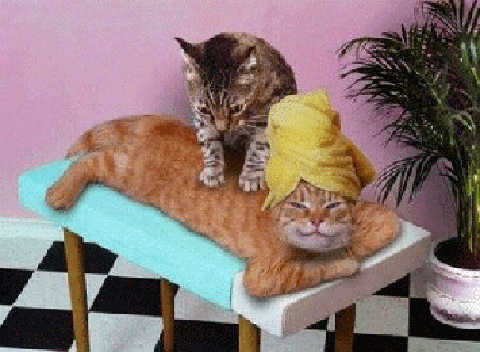 Chat Massage