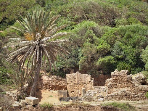 Tipaza fin de la visite 