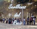 ♫ Sevillanas del Rocío
