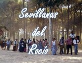 ♫ Sevillanas del Rocío