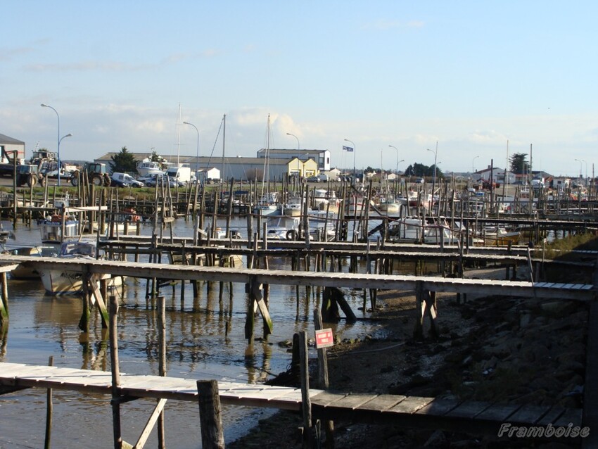 Port du Bec à Bouin