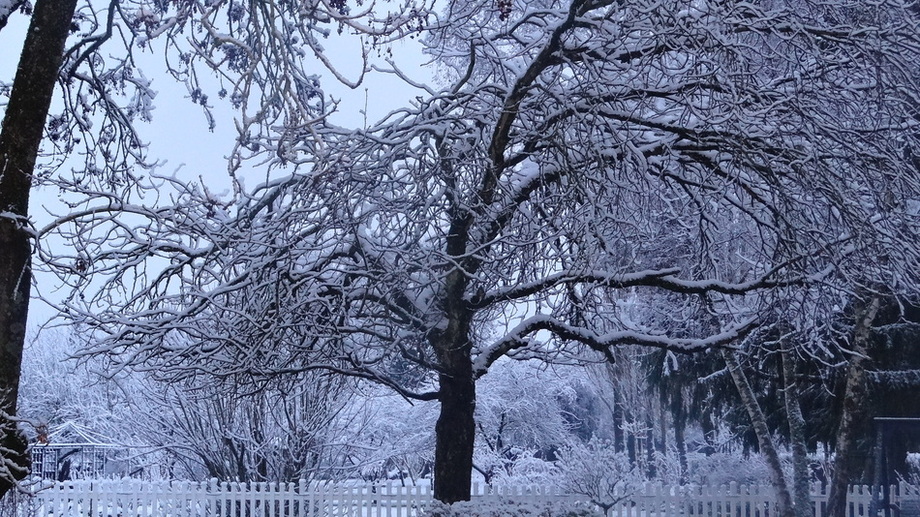 L'Hiver est Bien là...