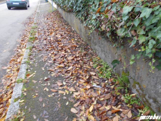 Une belle balade aux couleurs de l'automne