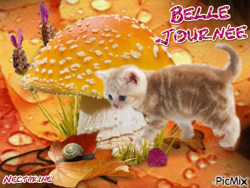 R�sultat de recherche d'images pour "gifs belle journ�e"