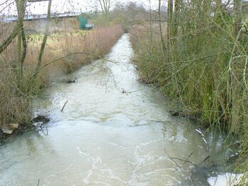 Le circuit des bois et plaines