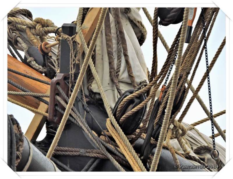 L'Hermione à Bordeaux - 4/11