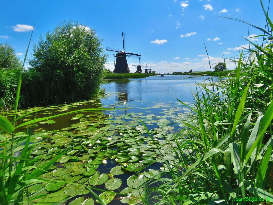 les moulins en Hollande