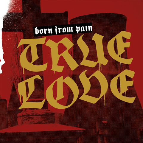 BORN FROM PAIN - Les détails du nouvel album True Love ; Clip "Antitown"