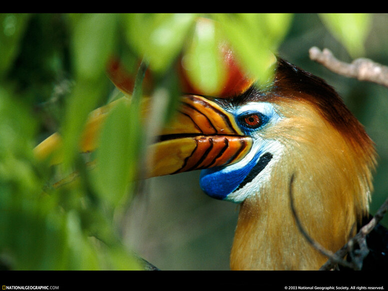 10 Images de la National Geographic