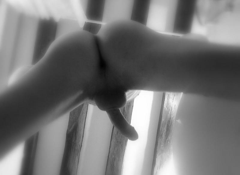 Mec tbm gay beziers Bite de jeune minet belle bite raide