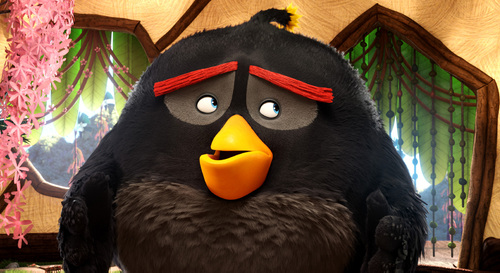 #29 En compagnie de "Angry Birds"