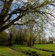 Le parc Saint Pierre