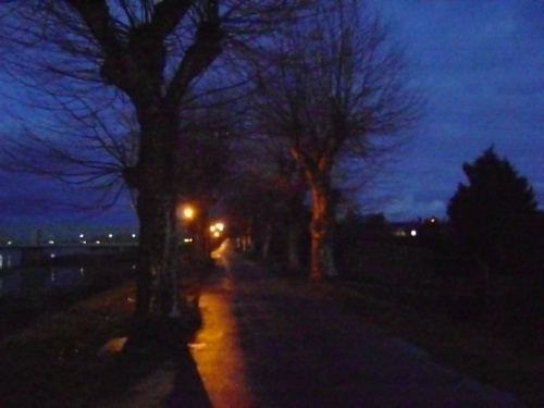 Photo du chemin de la Levée, un soir de décembre