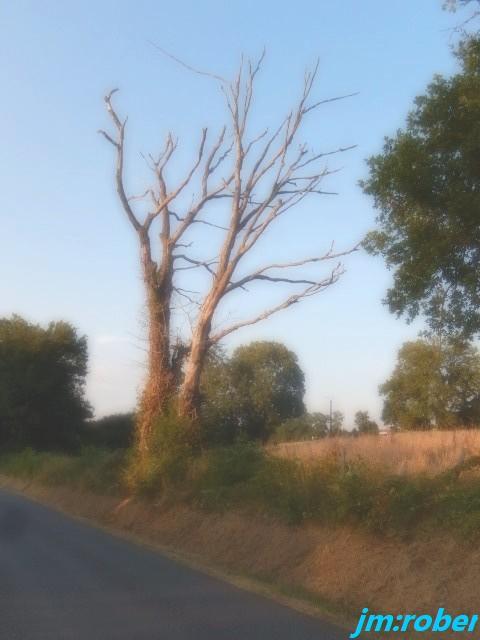 Une promenade aux couleurs du soirs ce 24 juillet