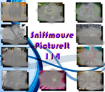 PictureIt 11 - Sniffmouse