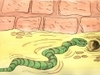 6-snake