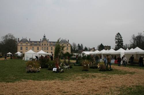 Savigny le temple. Le printemps des jardiniers