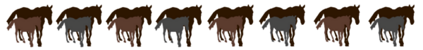 Barres séparation chevaux