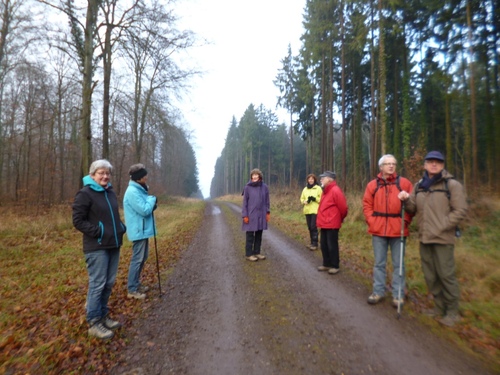 MARCHE AUTOUR DU JUSTEMONT- Dimanche 11 décembre 2016