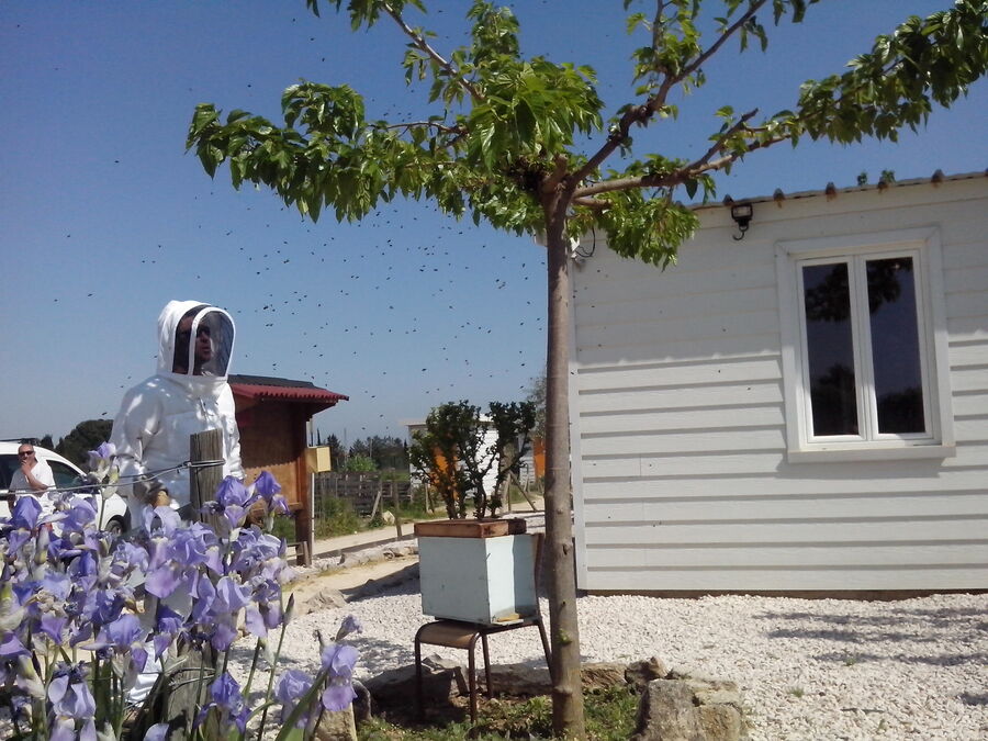 27 avril 2018 : Les abeilles débarquent