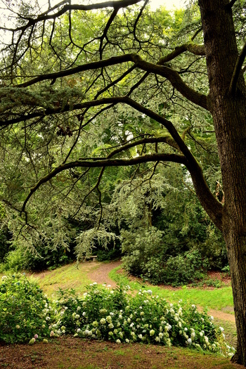 2014.08.17 Dieppe, parcs Moustiers, Shamrock (Seine-Maritime) 2ème partie