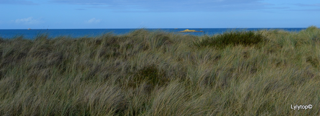 Les dunes de Keremma (fin)