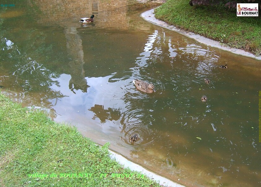 VACANCES: 2008 SARLAT LA CANEDA 2/6 08/06/2013