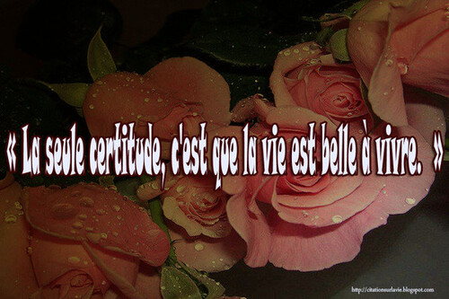 citation 