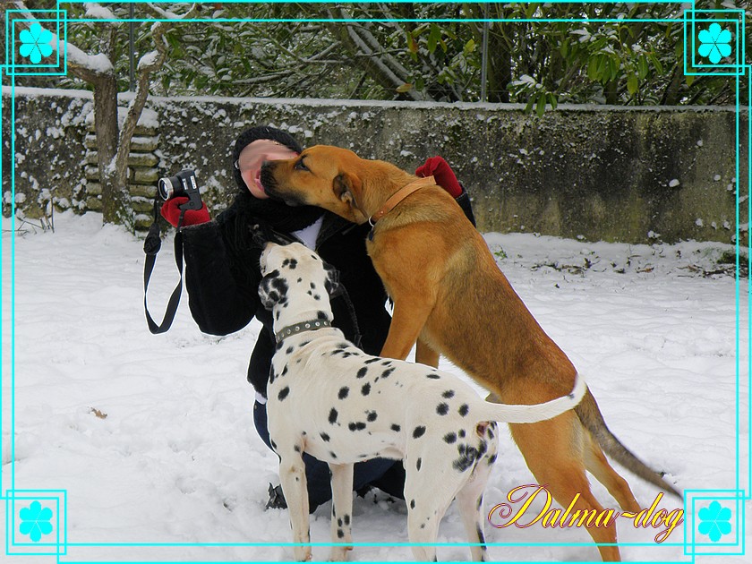 calin dans la neige