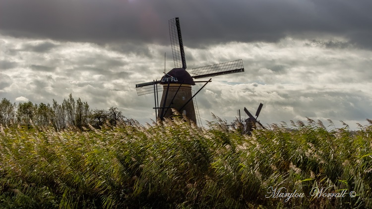 Amsterdam : Kinderdijk historique