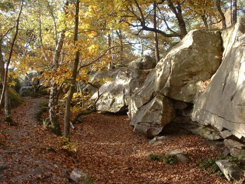 Forêt de Fontainebleau