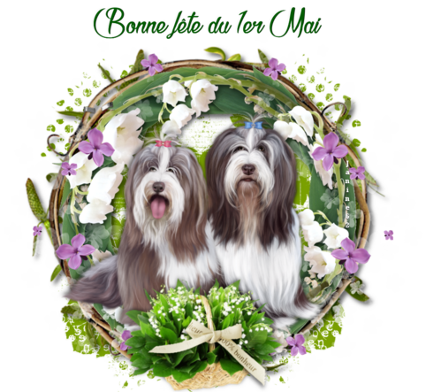 Bonne semaine à venir ♥ d' Athos & Cheyenne ♥