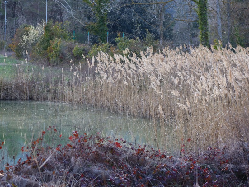 Une sortie imprévue (Banyoles)