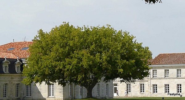 P1210799