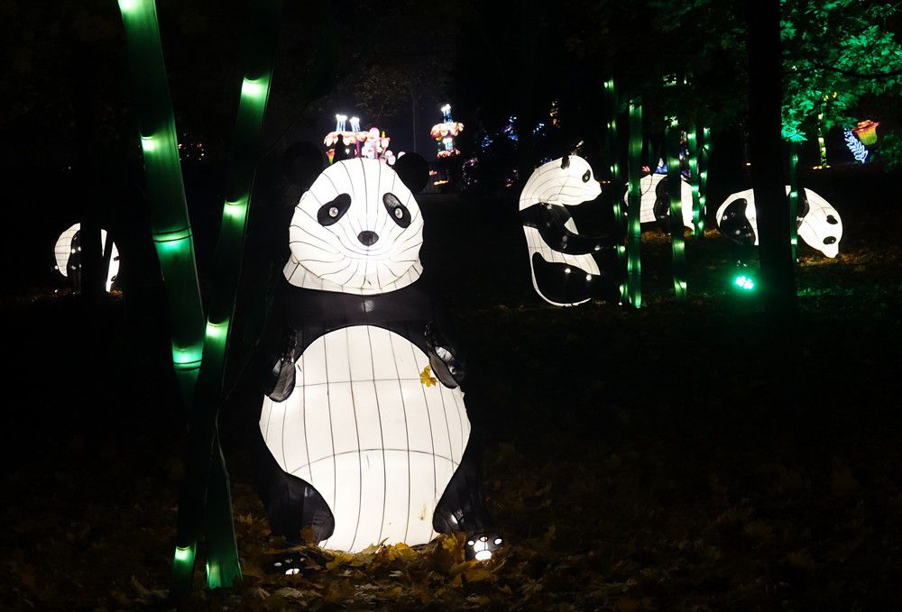 Les lumières légendaires à Bordeaux - Les pandas...