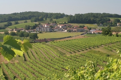Blog de lisezmoi :Hello! Bienvenue sur mon blog!, Charente : Cognac