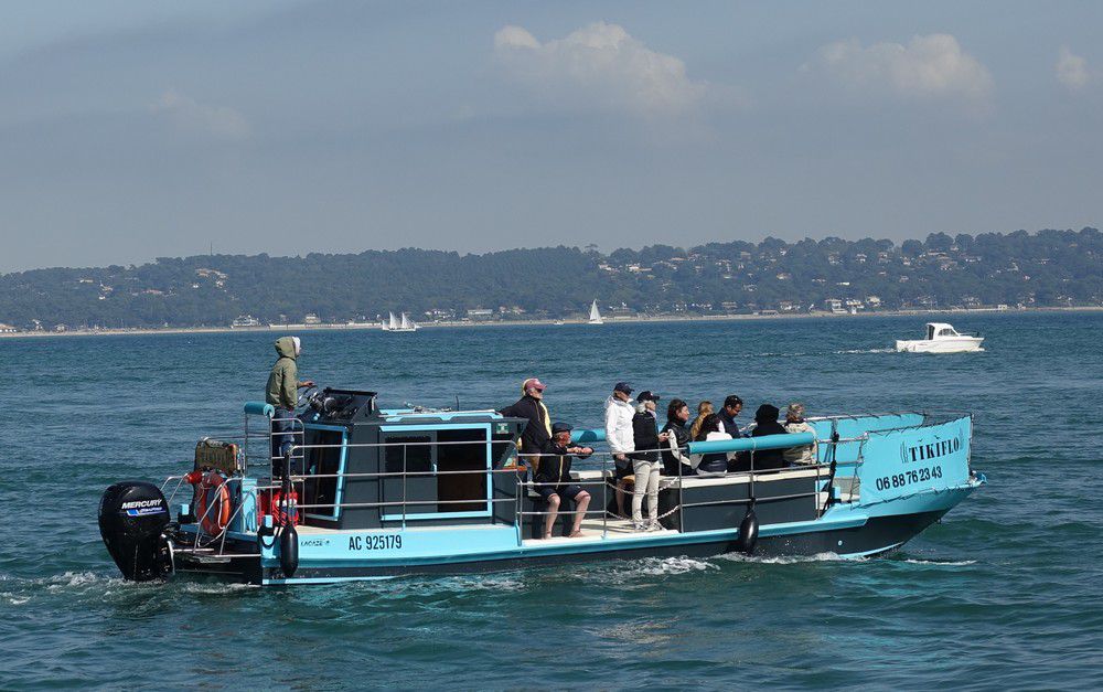 Bateaux traditionnels du Bassin d'Arcachon...