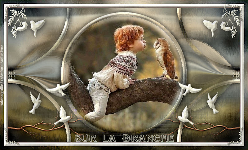 *** Sur la Branche ***