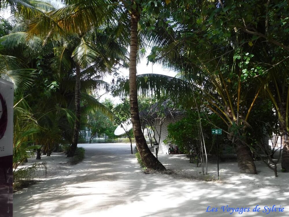 HOTEL CINNAMON ISLAND DHONVELI  - MALDIVES