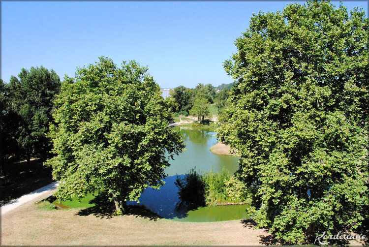 Photos Parc de l'Esconge (Bourg sur Gironde)