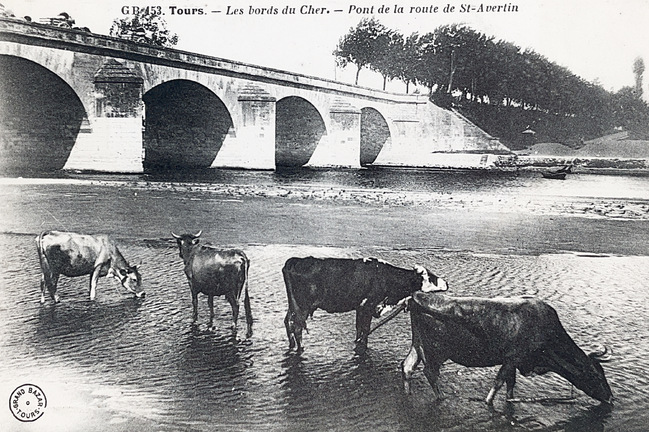 PONT DU CHER ROUTE ST AVERTIN