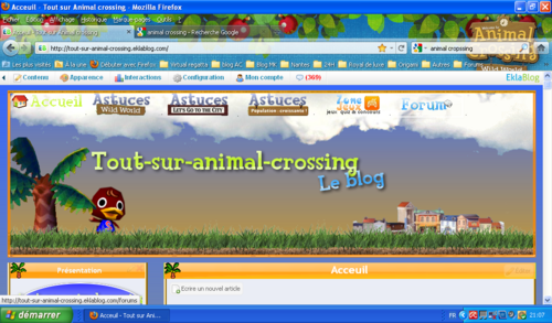 Tout-sur-Animal-crossing, retour sur plus d'un an d'histoire...