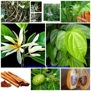 MERK OBAT KENCING NANAH MUJARAB TANPA EFEK SAMPING MERK OBAT KENCING NANAH MUJARAB TANPA EFEK SAMPING