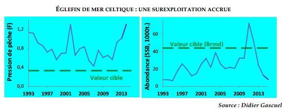 variation-stocks-eglefin