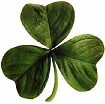 17 mars : la Saint Patrick !