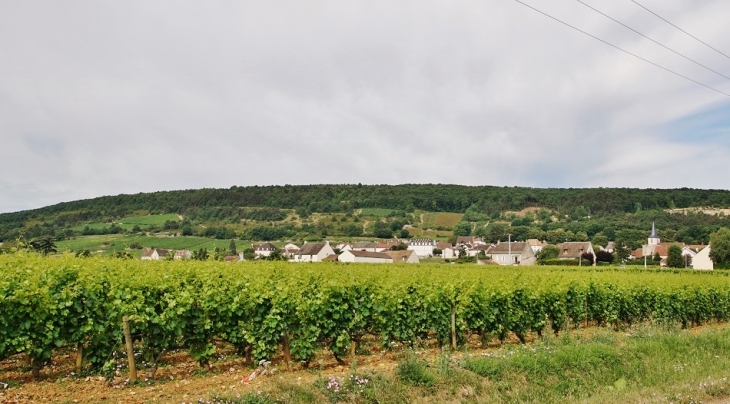 La Commune - Chassagne-Montrachet