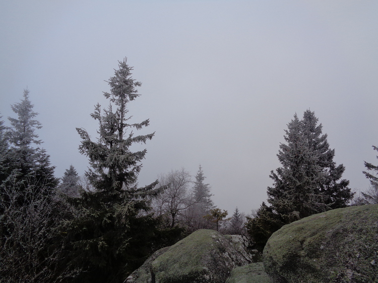 Vosges- Thurses du givre