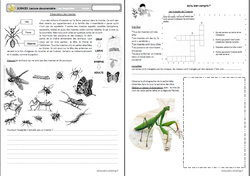 Lecture documentaire, insectes, cycle 3