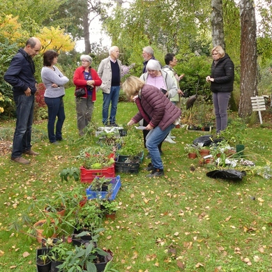 Troc Plantes au Jardin de Valérie...