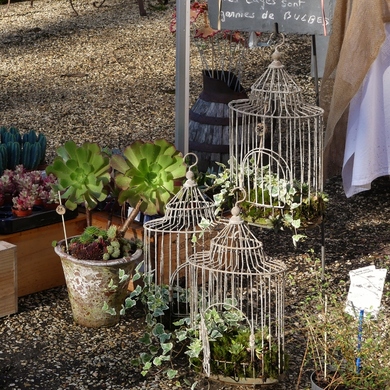 Journées des Plantes et Art du Jardin de Jossigny : retour sur l'édition 2020...